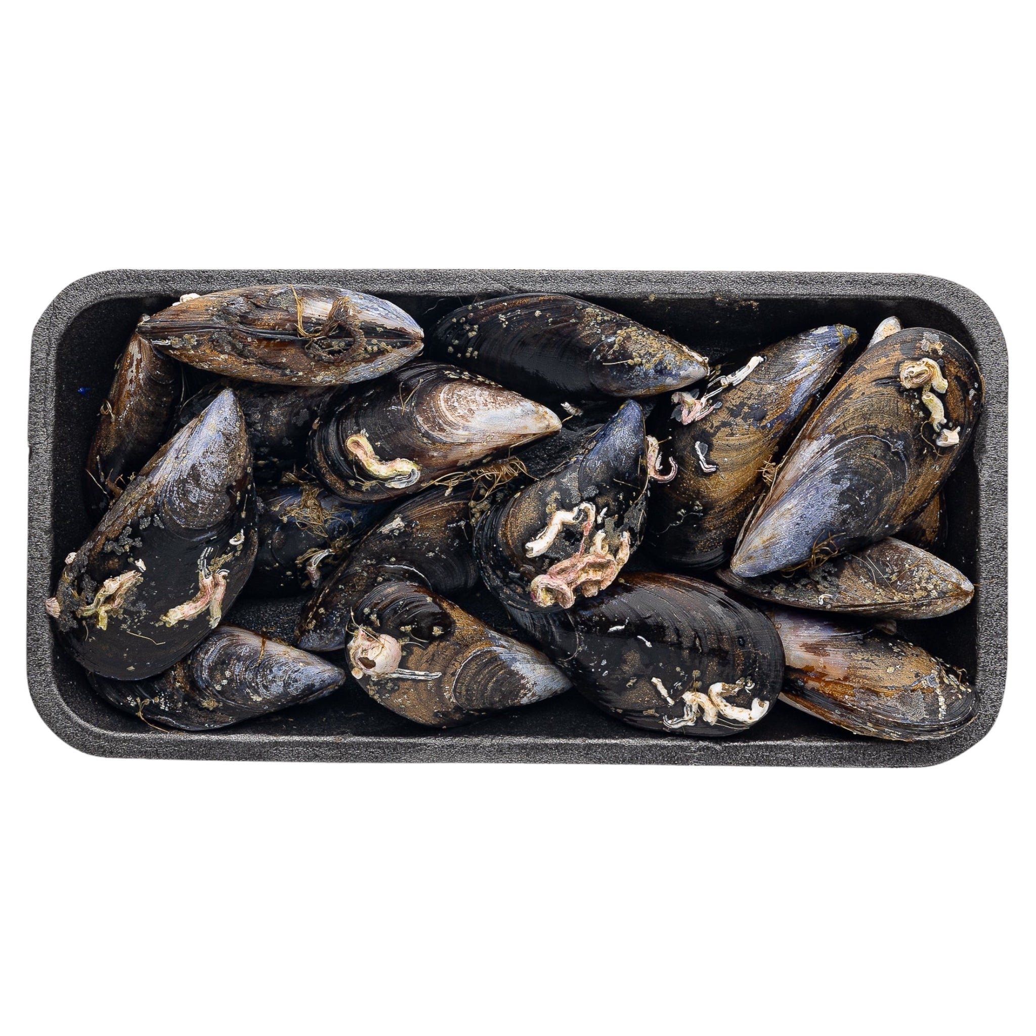 Μύδια με κέλυφος