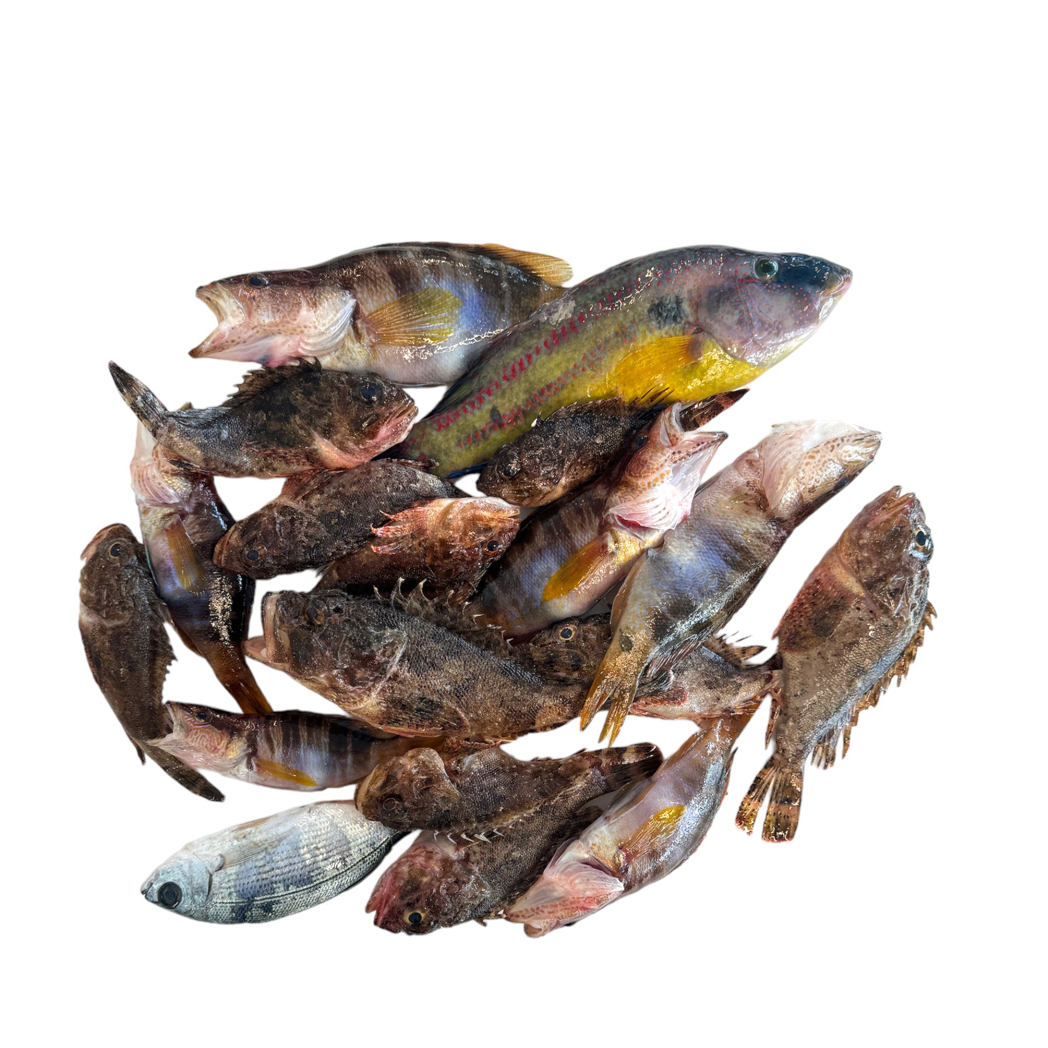 Βραστόψαρα