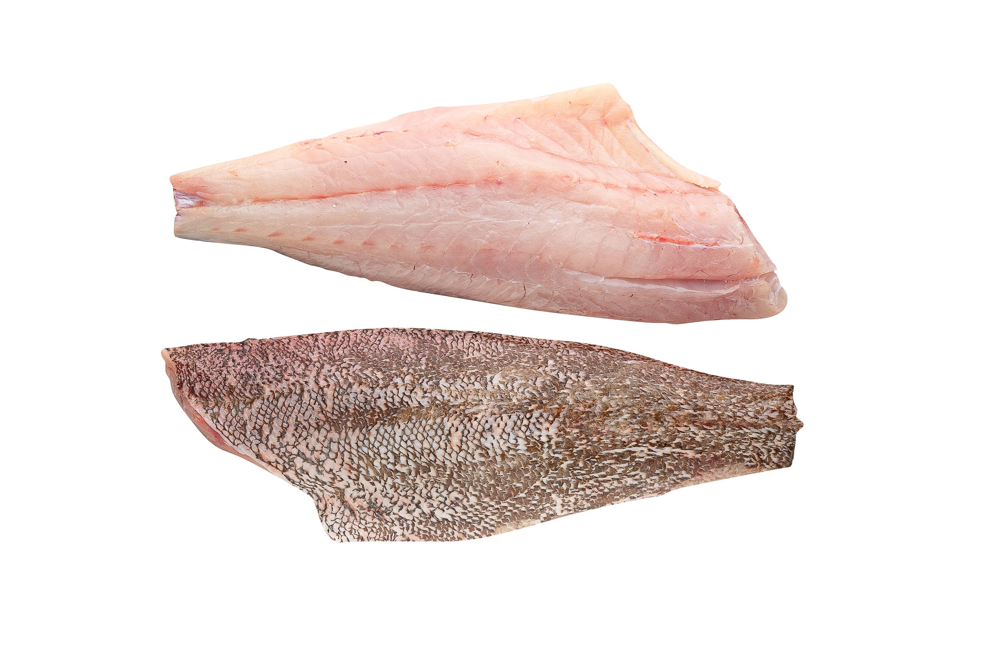 Σφυρίδα σε φιλέτο