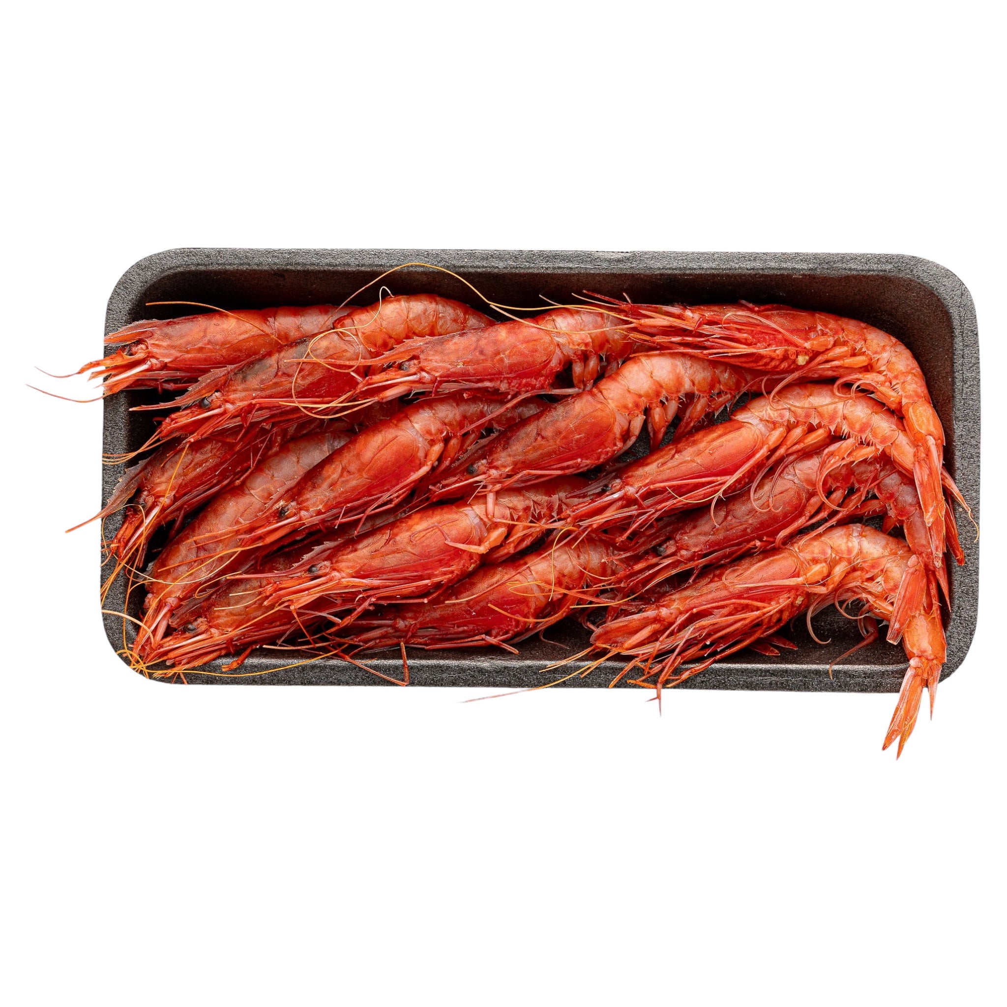 Γαρίδα κοιλάδας