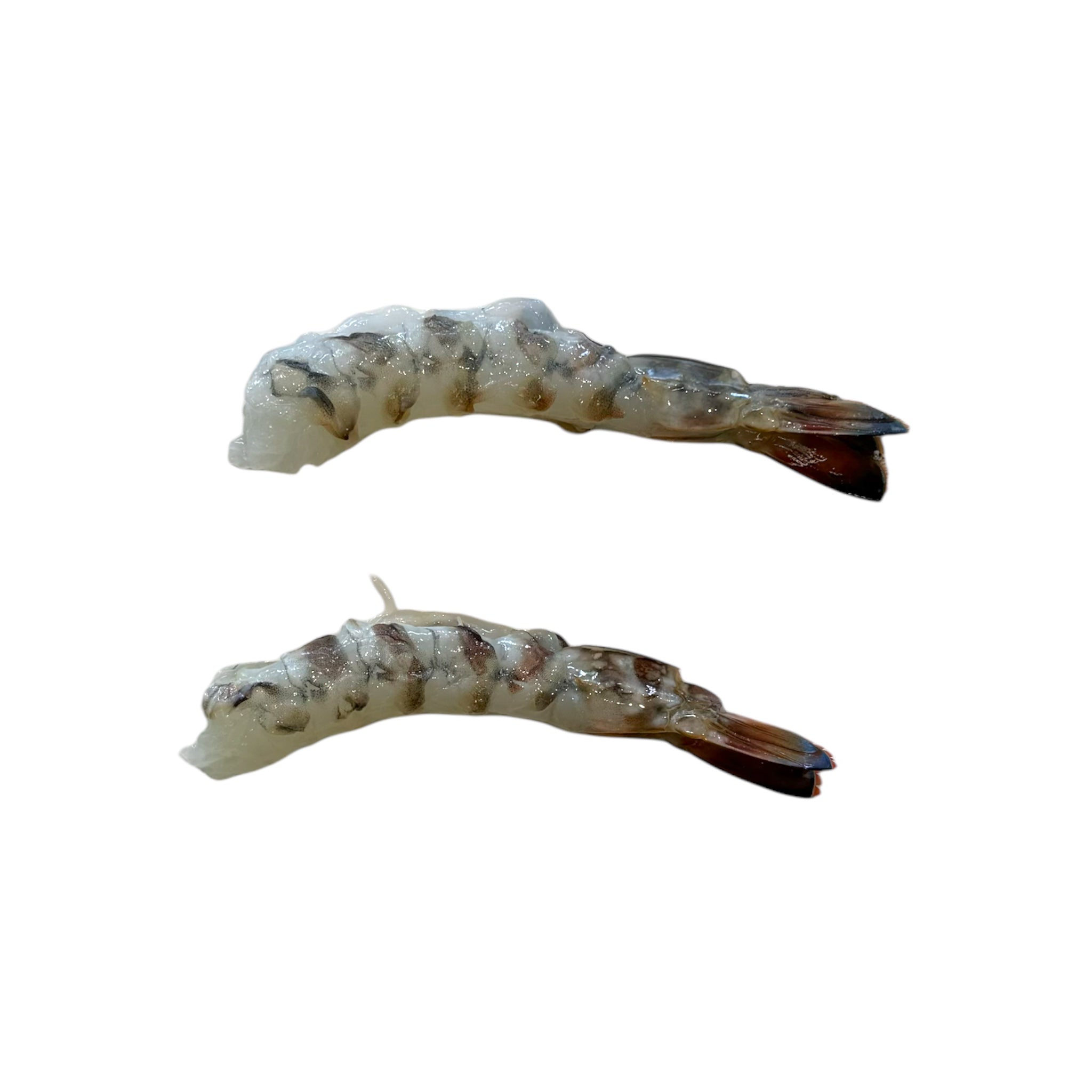 Γαρίδα γάμπαρη αποφλοιωμένη στο χέρι με ουρά